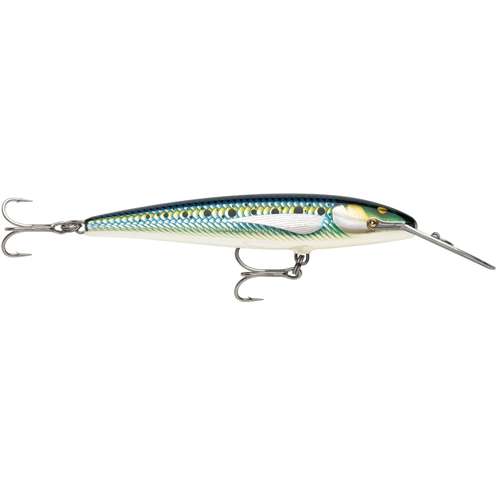 Rapala CountDown Magnum Elite 145  534  Armored Sardine CDMAGE145AMSRD